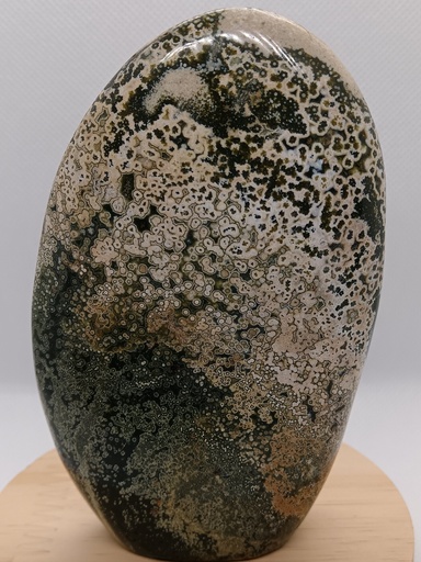 [AGMFL001] Agate Mousse Forme Libre