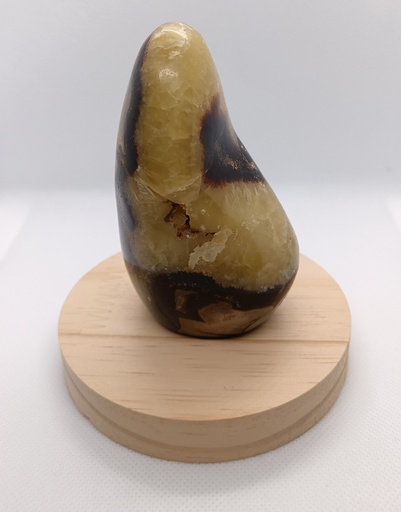 [SEPFL002] Septaria Polie Forme Libre